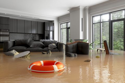 Bodhi can prevent or minimize damage from leaks and floods by connecting to an intelligent water shutoff solution
